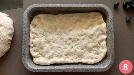 Schiacciata con l'uva - P8