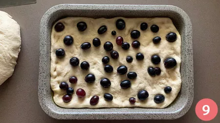 Schiacciata con l'uva - P9