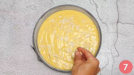 Torta ai fichi d'india - P7