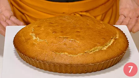 torta-al-cocco 7