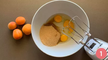 Torta di albicocche e yogurt - P1