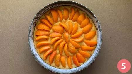 Torta di albicocche e yogurt - P5