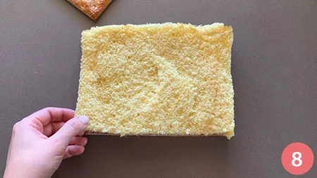 Torta diplomatica - p8