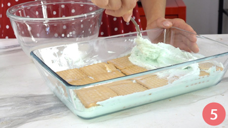 Torta fredda menta e cioccolato - P5