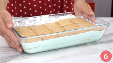 Torta fredda menta e cioccolato - P6