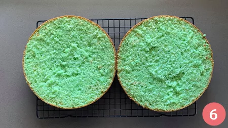 Torta menta e cioccolato - P6