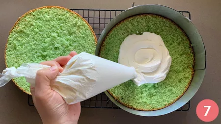 Torta menta e cioccolato - P7