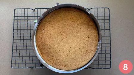 Torta menta e cioccolato - P8