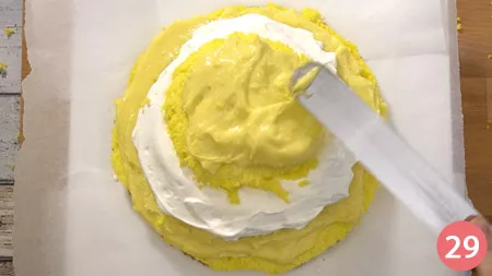 29