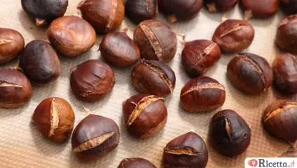 Tronchetto di castagne con il Bimby