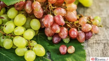 Uva, caratteristiche e proprietà