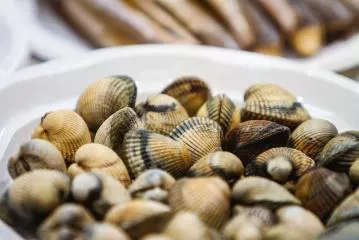 Vongole: proprietà e come si cucinano