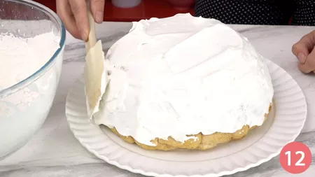 Zuccotto alle fragole - P12